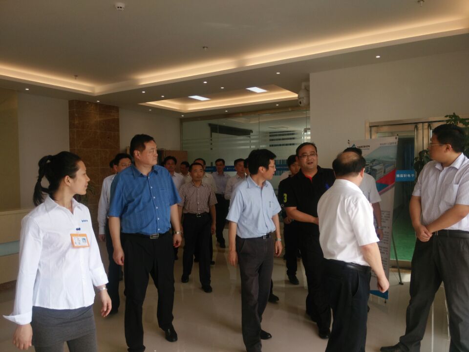 Wuhu Municipal Party Committee Secretary Pan Zhaohui and Mayor Visited Our Company for Inspection and Research